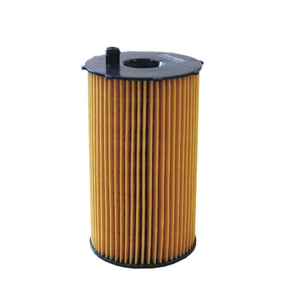 FILTRON filtr oleju OE667/2 - Peugeot 407/607 2.7HDI V6 04-