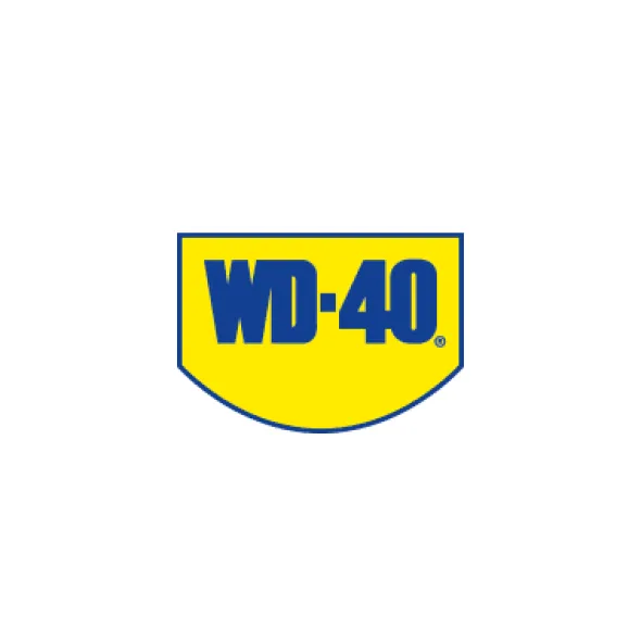 WD-40 preparat wielofunkcyjny z aplikatorem 450ml