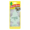 Wunder Baum choinka zapachowa Frosted Pine
